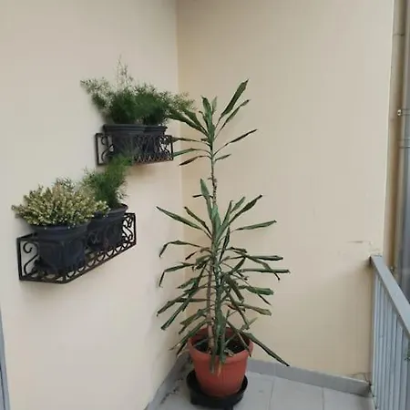 Apartamento Luce *