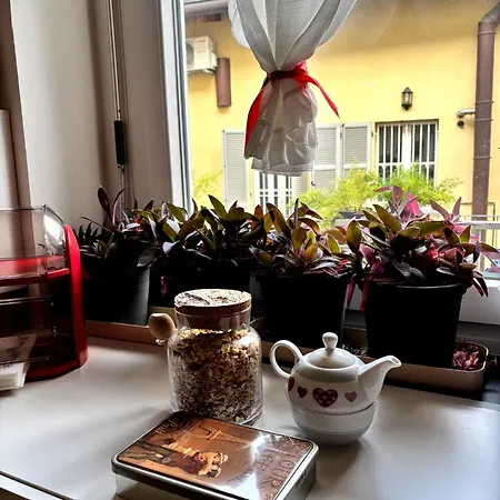 Luce شقة